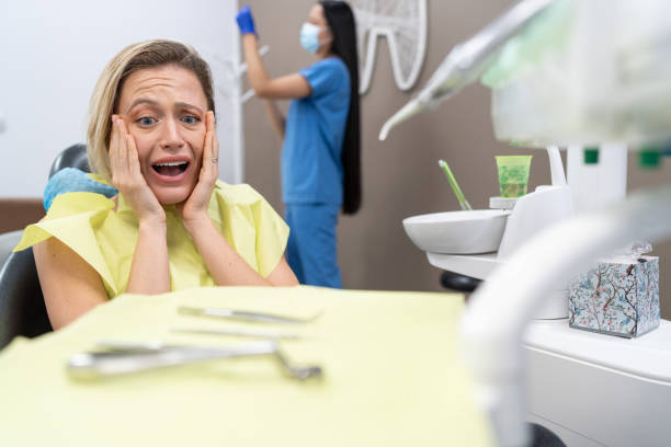 Best Emergency Dental Care for Broken or Chipped Teeth in Eaton Estates, OH